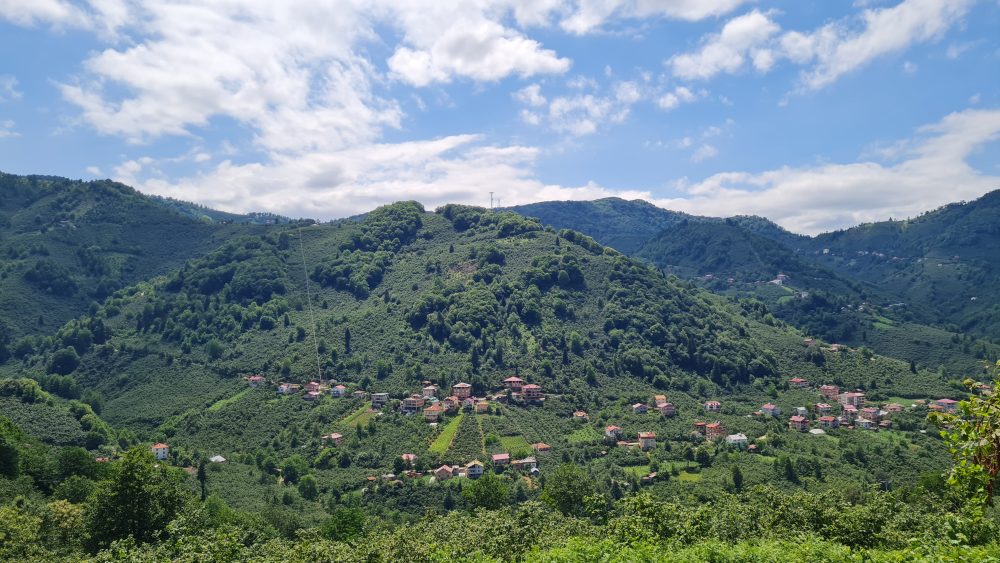 Keşap Çamlıça köyü nereye bağlıdır? - Kapak Görseli
