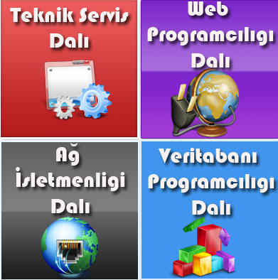 IT alt dalları: Kariyer için en doğru uzmanlık alanları [2026] - Kapak Görseli